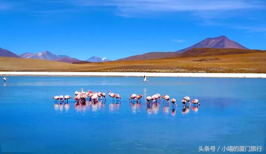 最值得去的52个旅行地,80个最值得一去的旅游胜地