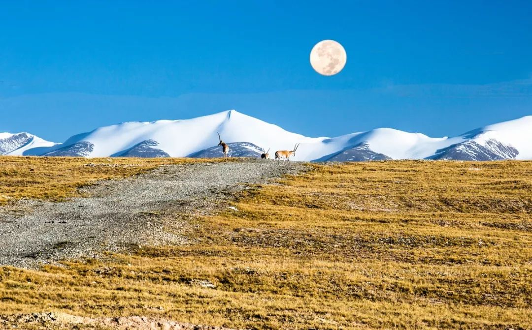 28岁前该去的9个旅游地,必去的30个旅行地