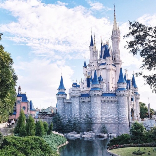 春天没能一起放风筝夏天一起看海,春天去不去旅游