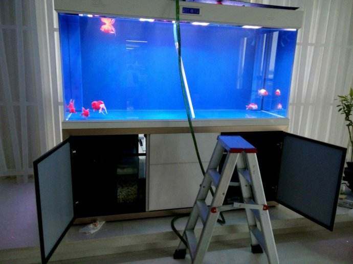 鱼缸打氧过滤器多久清洗一次,鱼缸过滤器的清洗方法