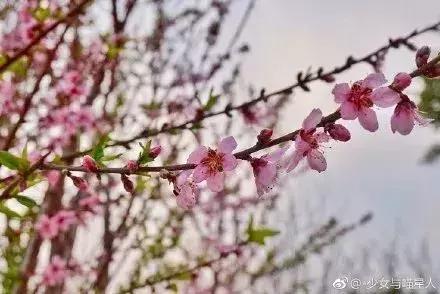 厦门大降温最新消息,厦门升温时间表