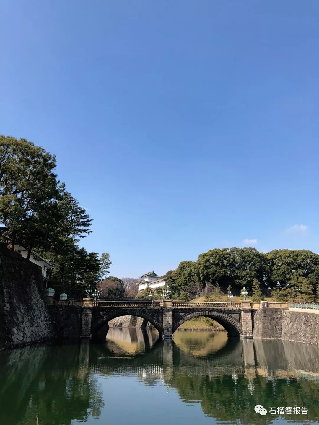 四世同堂一日游,四代同堂去旅游