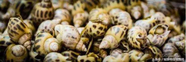 这是我见过最详细的旅游攻略,澳门必须去的旅游景点推荐