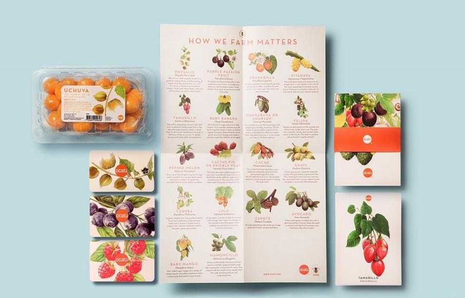 十大顶级高端水果包装,水果干品牌包装设计