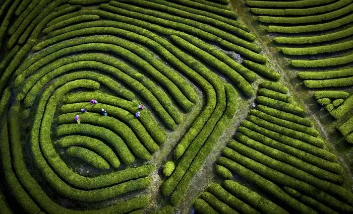 2018年全球华人摄影十杰,中国第18届国际摄影展入围作品