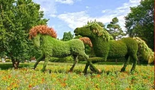 刚出的群主相册,有群的都看看,太美了,这一辈子见一次值了!