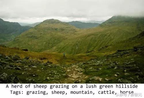 绁炵粡缃戠粶浼氬嚭閿欏悧,绁炵粡浜轰細姊﹀埌鐢靛瓙缇婂悧