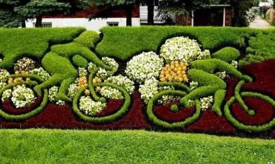 11月4,有群的都看看,太美了,这一辈子见一次值了!