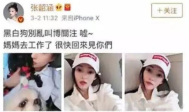 音乐早茶:邓紫棋赌牌,陈奕迅王菲KTV飙歌,小猪佩奇再出新梗!