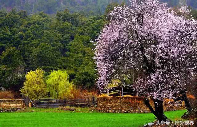中国3月适合自驾的地方,自驾藏南旅游攻略