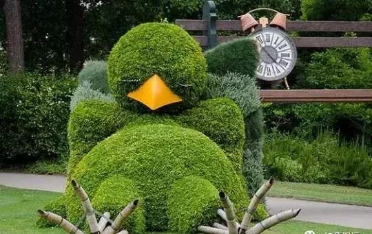 11月4,有群的都看看,太美了,这一辈子见一次值了!