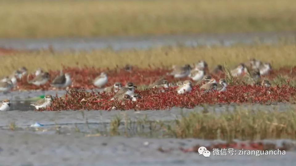 防城港山心沙岛和山新沙滩,防城港三口浪山心沙岛