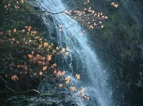 北京各区16处免费森林公园,森林公园北京有几个