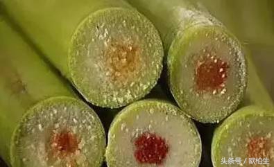 吃了霉变的甘蔗会怎么样,霉变甘蔗有毒不能吃图片