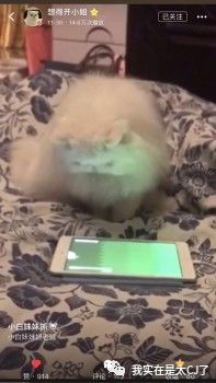 范冰冰热衷做美妆博主,范冰冰转型美妆博主有感