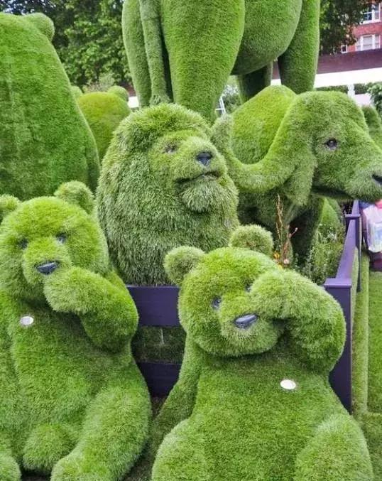 11月4，有群的都看看，太美了，这一辈子见一次值了！