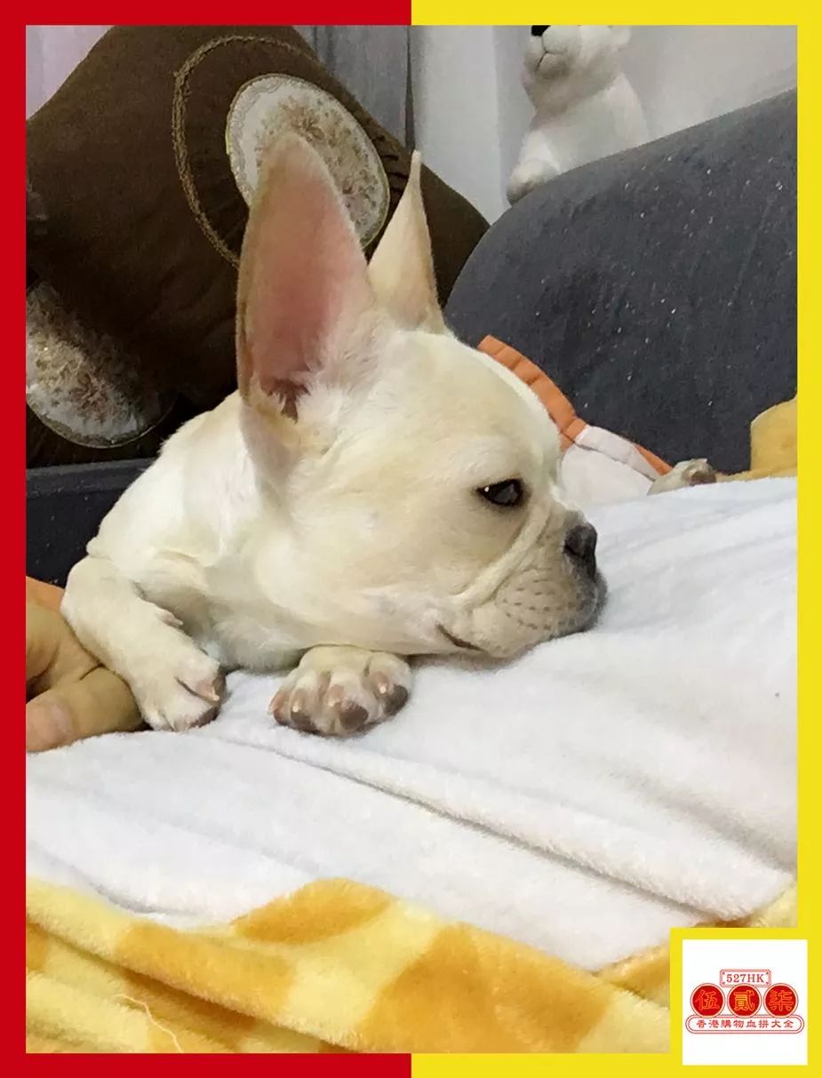 香港护肤彩妆品牌排行前十,盘点年度美妆榜单里的最佳款