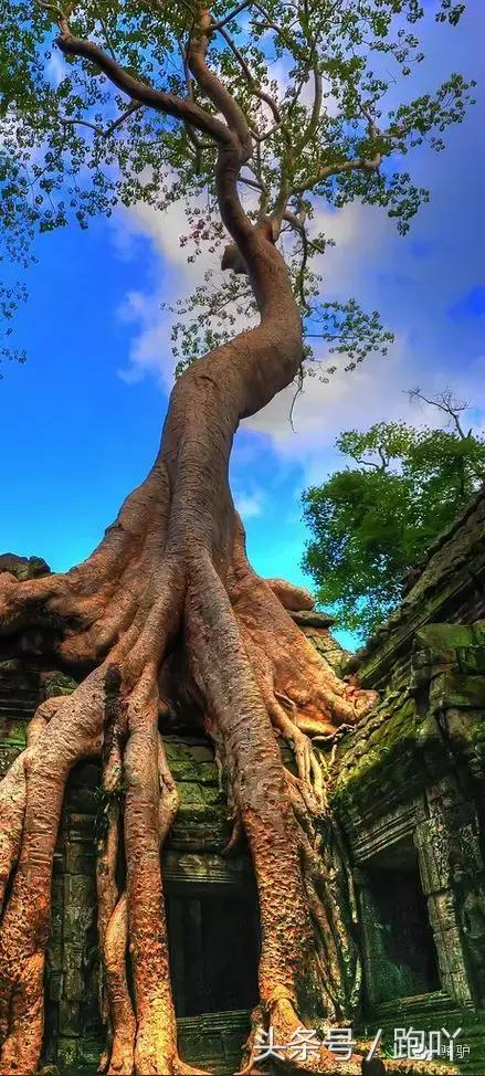 这10大东南亚“免签”仙境，月薪5K轻松走起，光看图已醉！