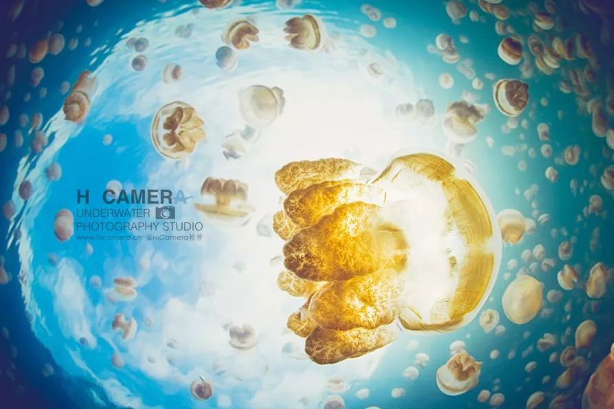 海岛签证全攻略,海岛签证最新攻略