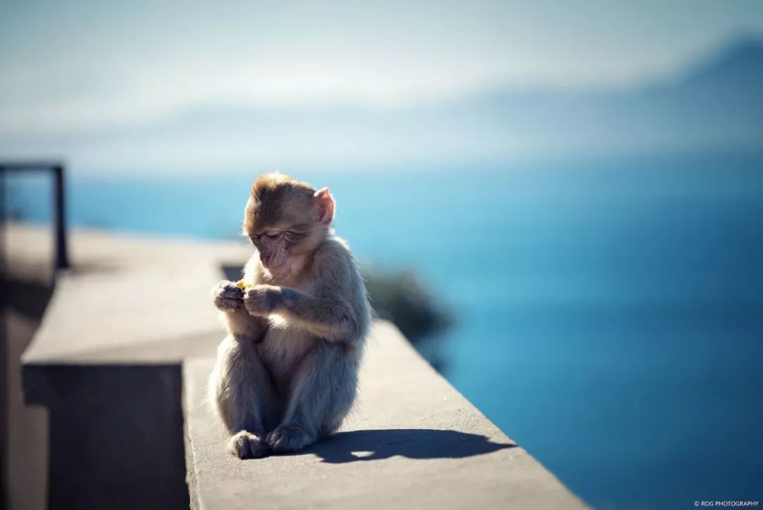 海岛签证全攻略,海岛签证最新攻略