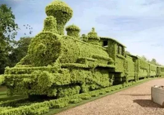 11月4,有群的都看看,太美了,这一辈子见一次值了!