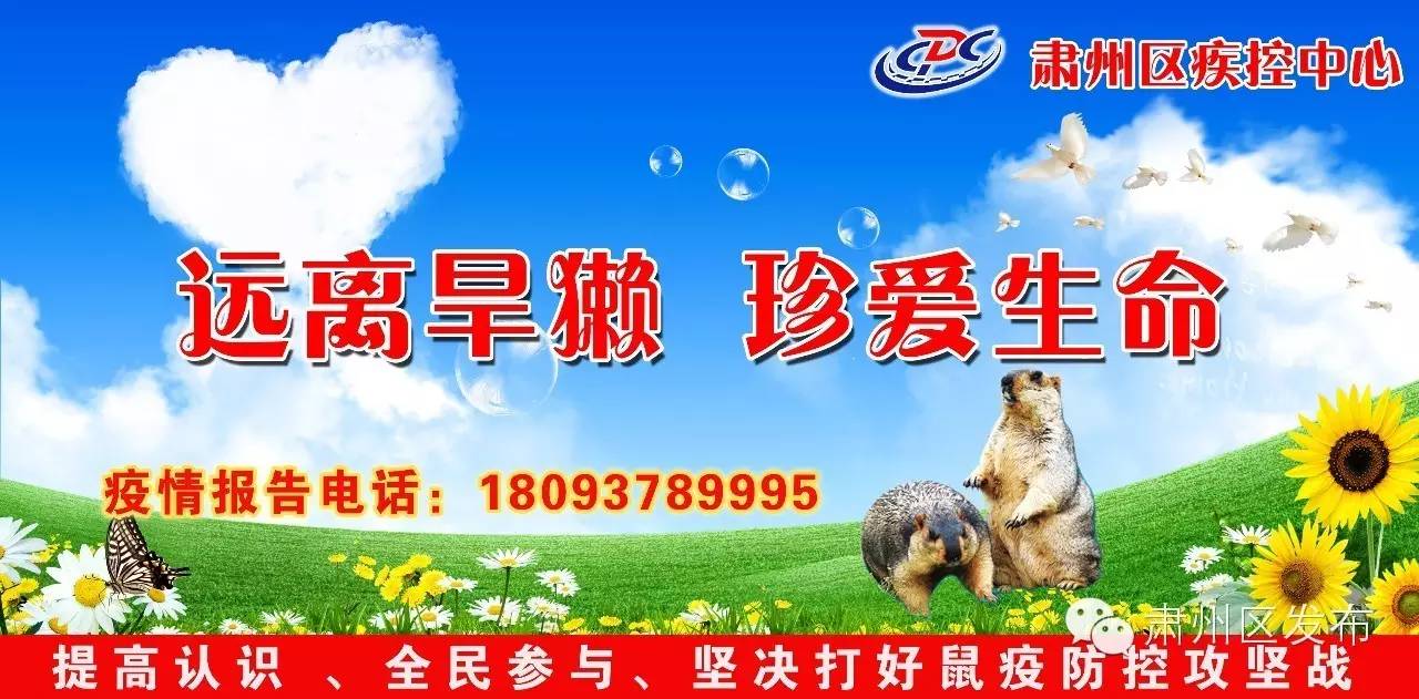 《地理标志产品 酒泉洋葱》地方标准通过专家审查