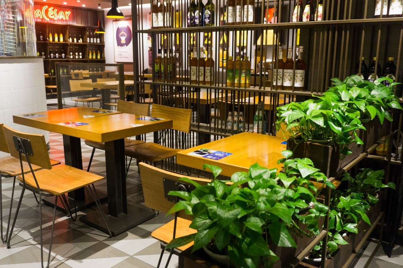 乐凯撒榴莲披萨是什么榴莲,乐凯撒榴莲比萨