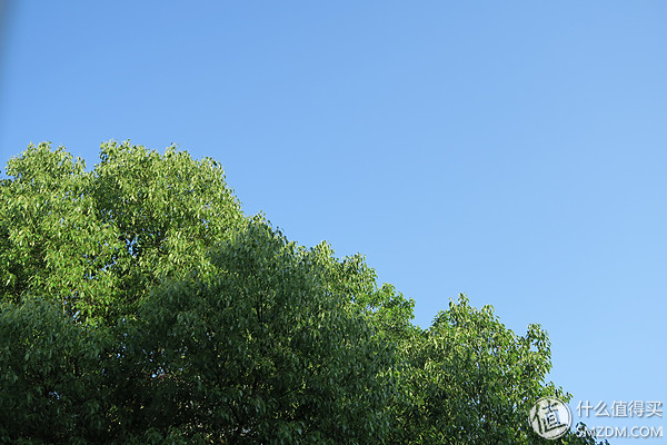 板砖大测评,板板评测