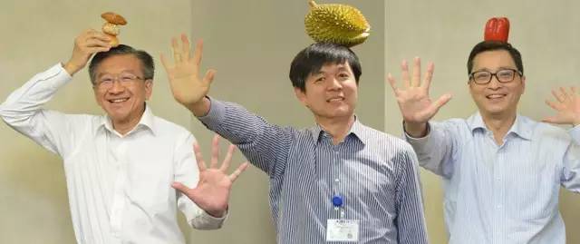 又逆天了，玉林有这么一群人居然要把食物“种”到头上！