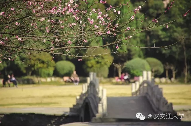 交大，我咋不喜欢你了！