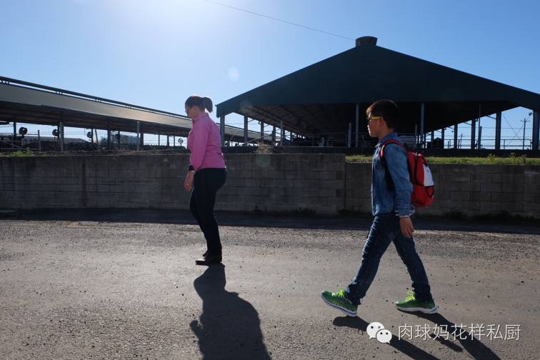 为什么说牛奶是最佳的补钙来源,为什么说牛奶是最佳补钙食物来源