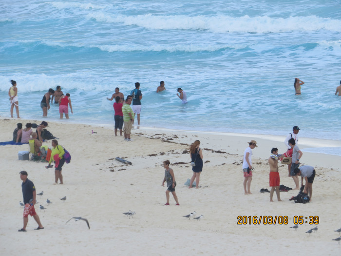 去巴西阿根廷秘鲁智利四国游,巴西阿根廷智利秘鲁地图