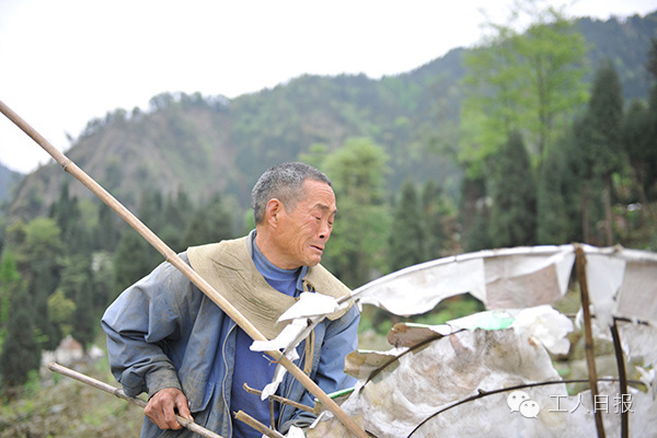 新汶川和旧汶川,汶川人回汶川