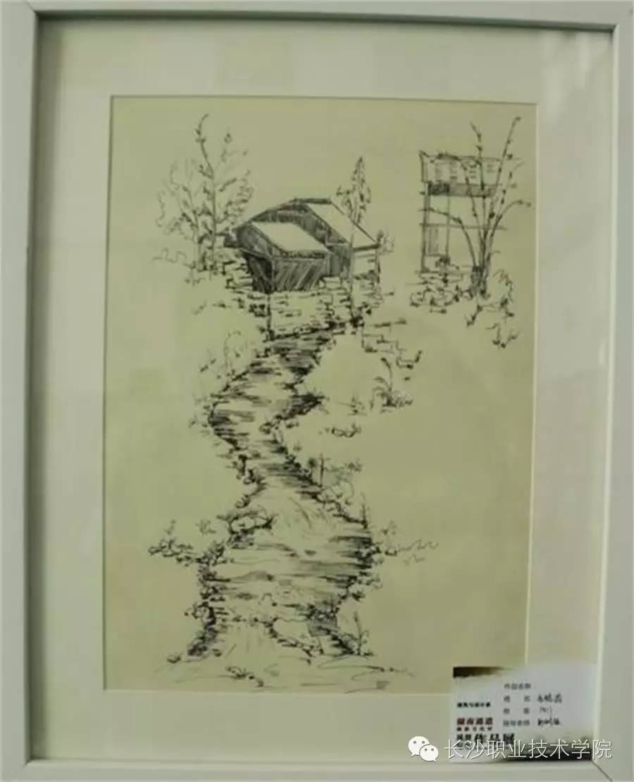 来稿我的大学生活比你多了道风景