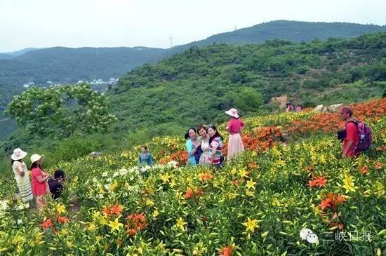 宜昌花海推荐,宜昌6月份花海景点有哪些