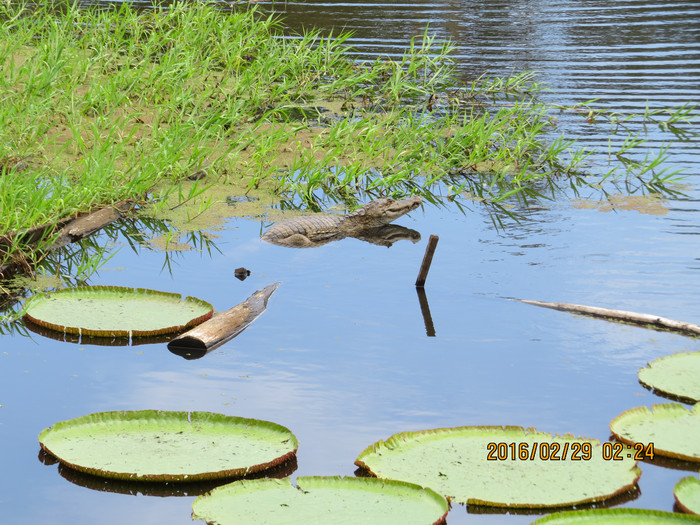去巴西阿根廷秘鲁智利四国游,巴西阿根廷智利秘鲁地图