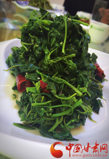 来一场说走就走的旅行第一站陇南,身未动心已远演唱