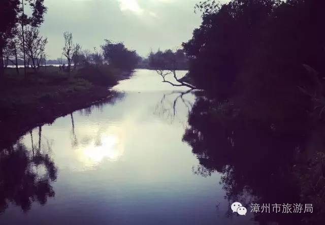 杭州西溪生态公园,西溪郊野公园好玩吗