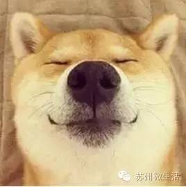 统统都免费！苏州免费福利最强整理，又公布了很多你不知道的