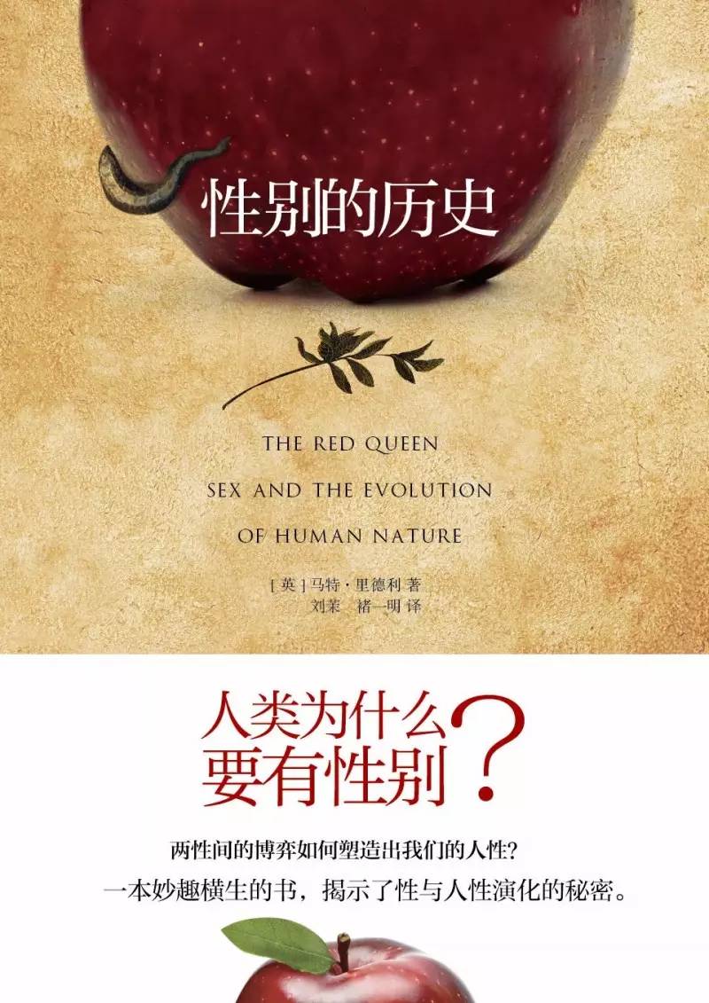 给“不再恐同”一个充分的理由