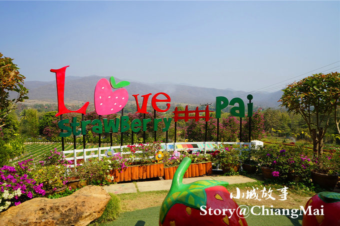 为了忘却的记忆全文,为了忘却的记忆1