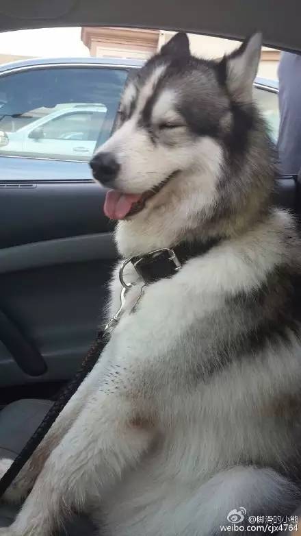 走到流浪的尽头,落入你的温暖怀抱