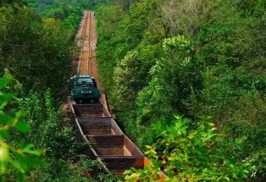 北京各区16处免费森林公园,北京最新40个公园