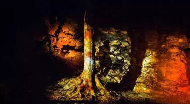 加拿大奇幻森林,加拿大魔法森林风景