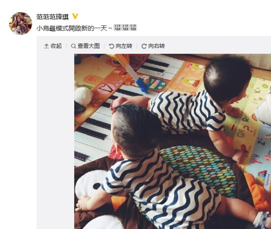 范玮琪最近怎么了,范玮琪为啥被网友嫌弃