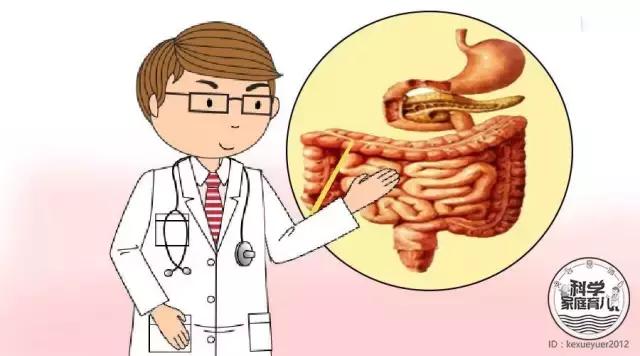 该打虫子的表现,该打虫了是什么意思