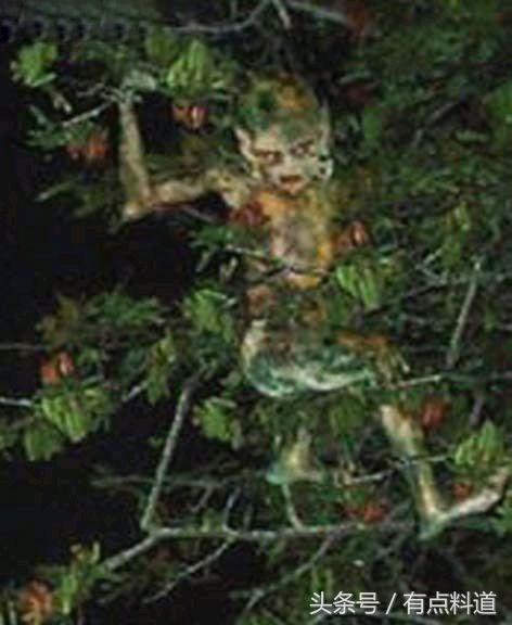 世界上有鬼吗图片大全,世界上真的有鬼吗鬼长啥样