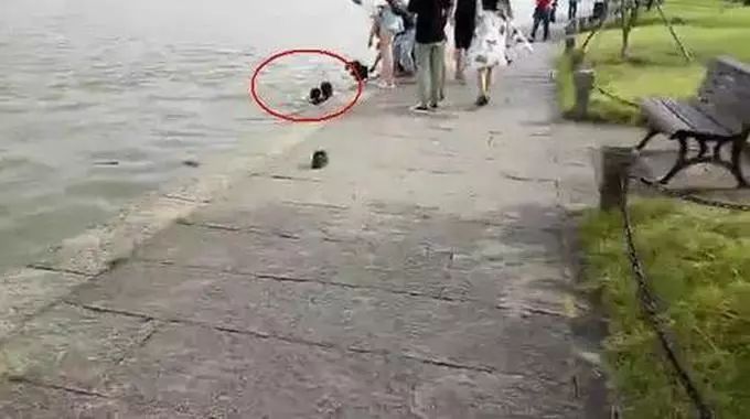 这款“禁欲式全面屏”手机，誓为解救低头族还酷过iPhoneX？！