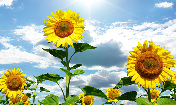 女孩断掌纹是什么说法,断掌纹女人的独白