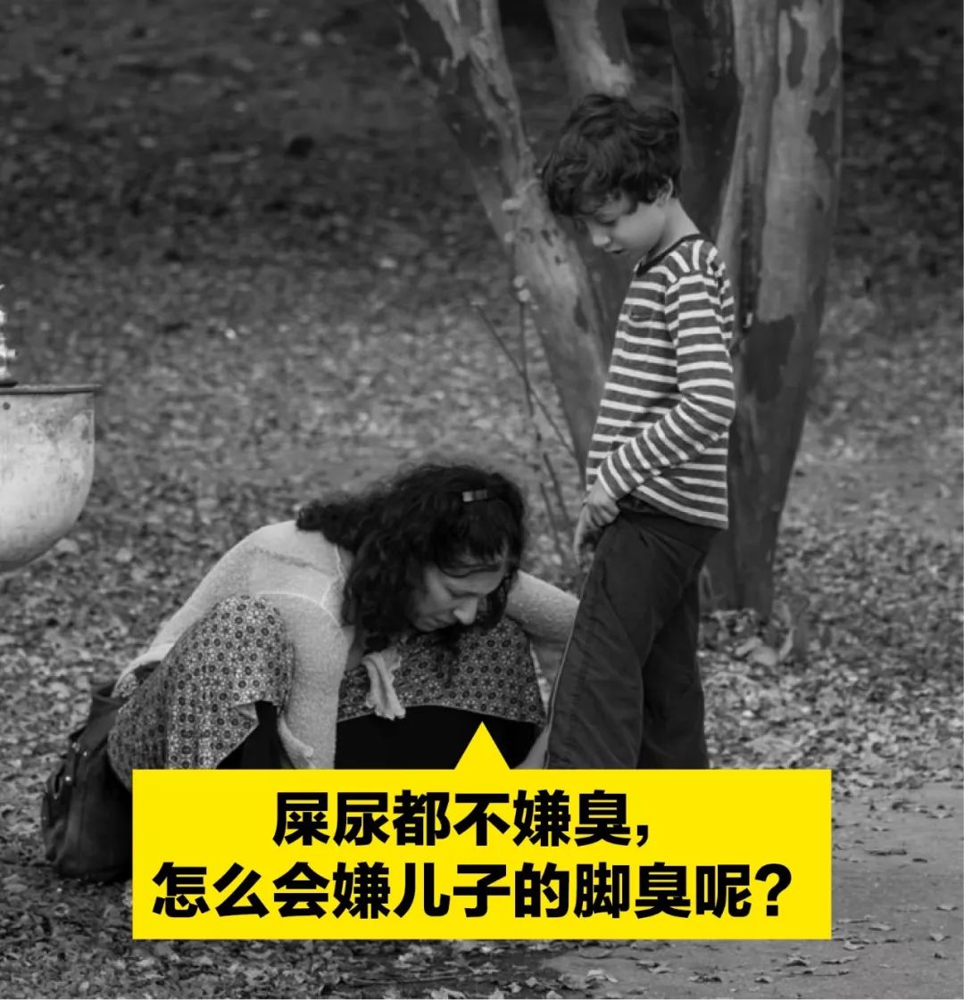 七个人爱情故事,七个人的爱情故事